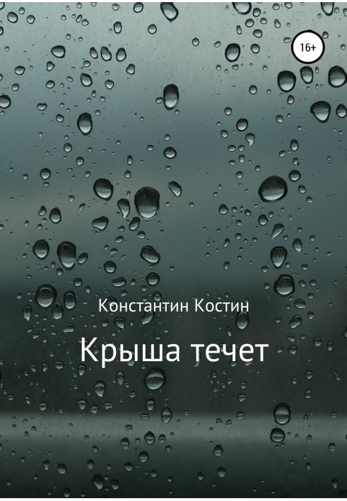 Книга Крыша течет
