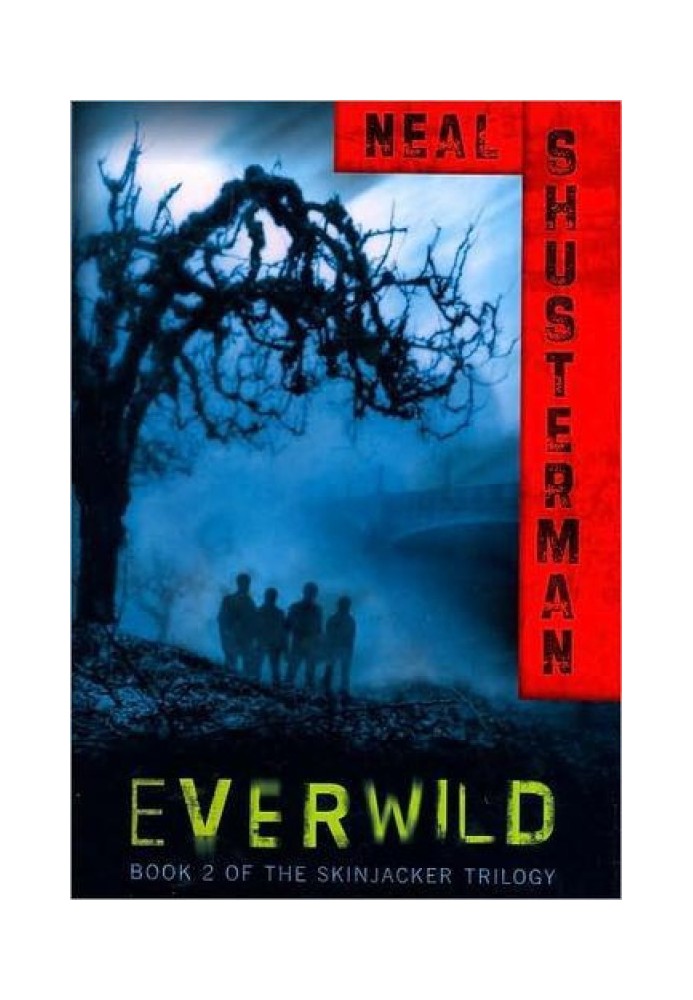 Книга Everwild
