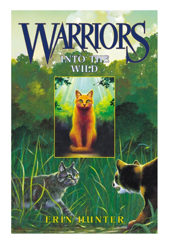 Book Into The Wild