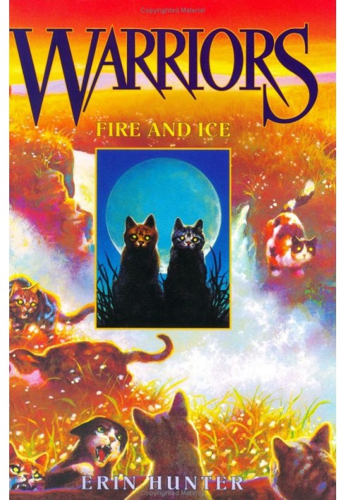 Book Fire And Ice
