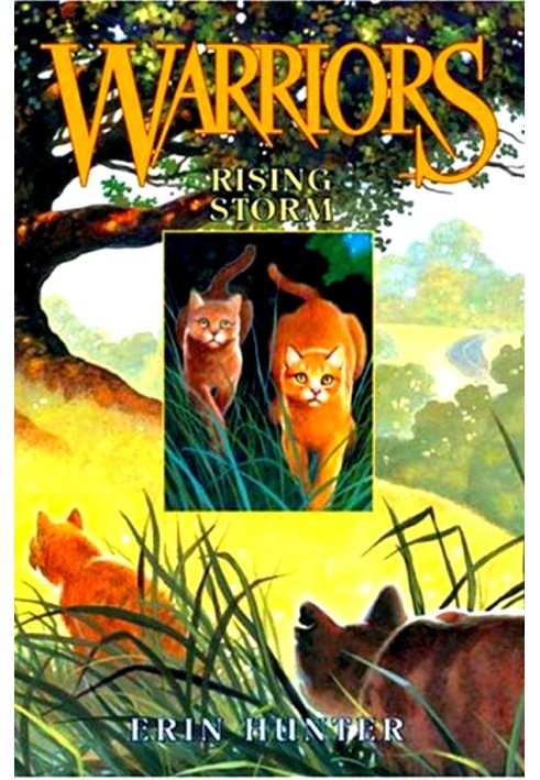 Book Rising Storm