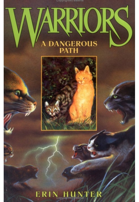 Book A Dangerous Path