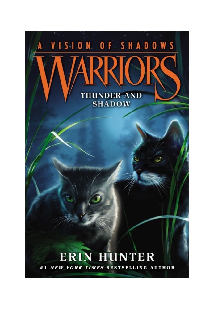 Book Thunder And Shadow