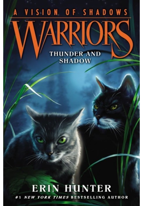 Book Thunder And Shadow
