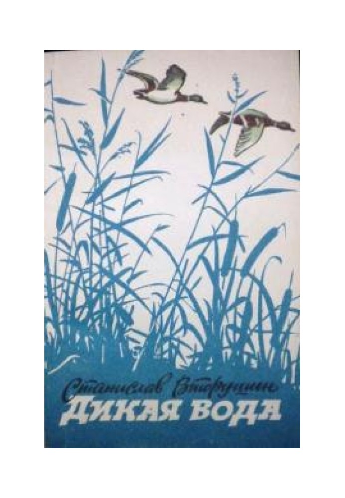 Книга Дика вода