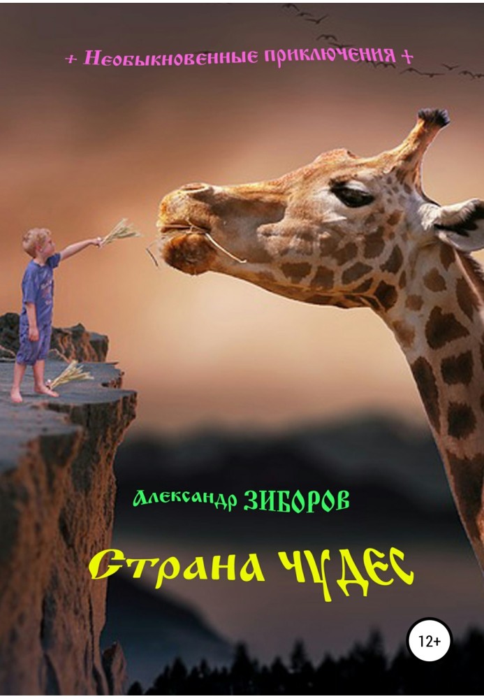 Книга Країна чудес