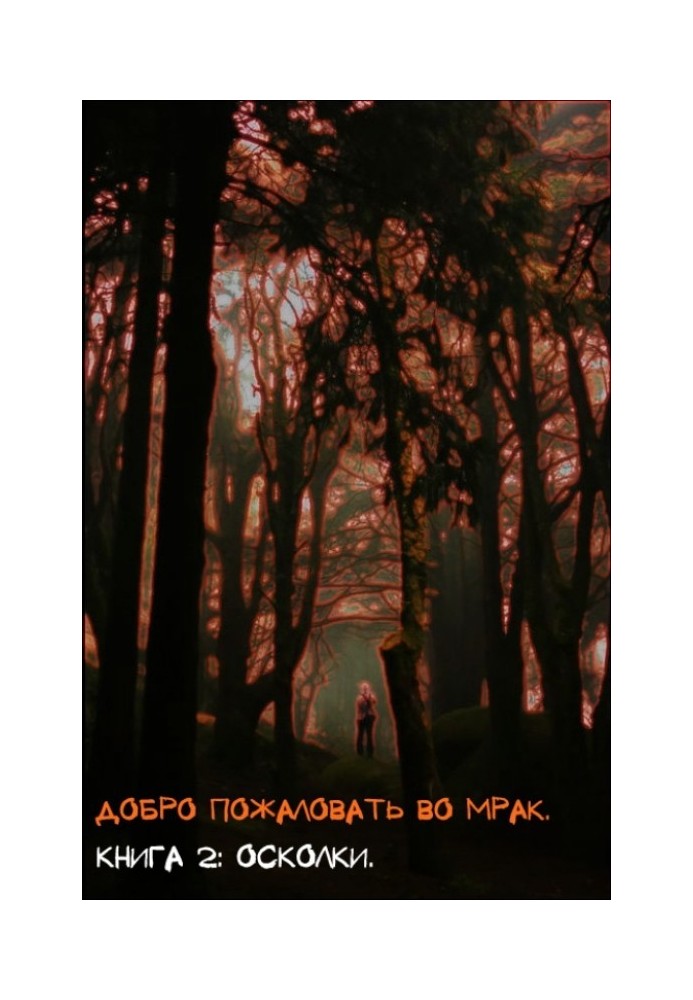 Книга Осколки 