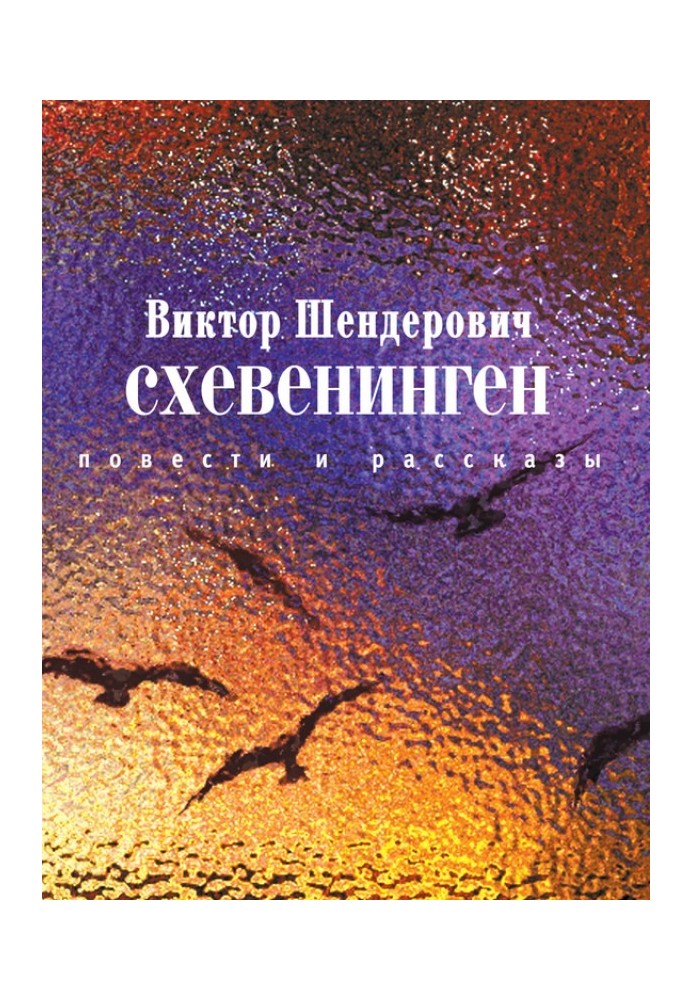 Книга Схевенінген