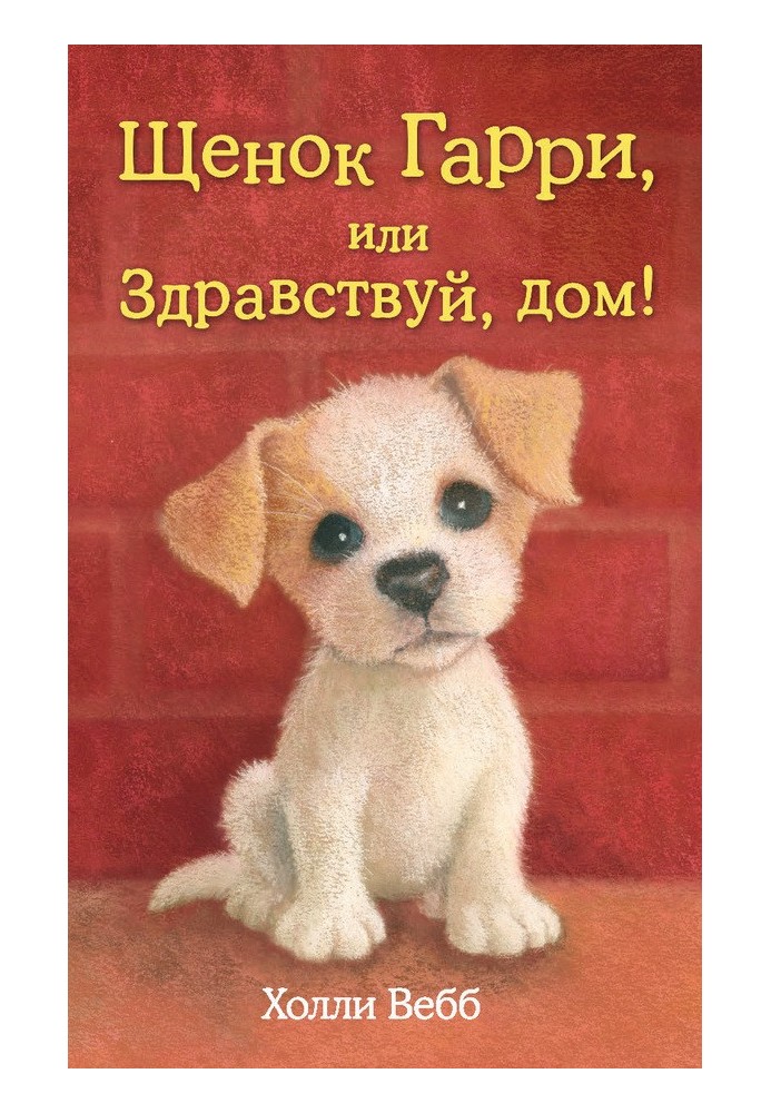 Book Puppy Harry, or Hello Home!