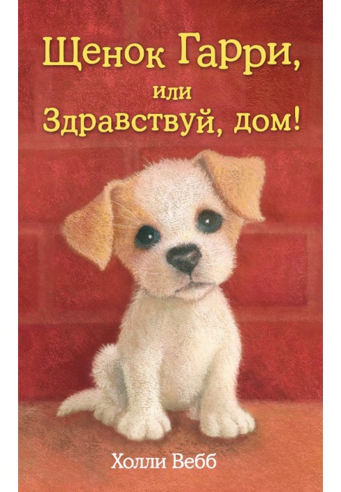 Book Puppy Harry, or Hello Home!