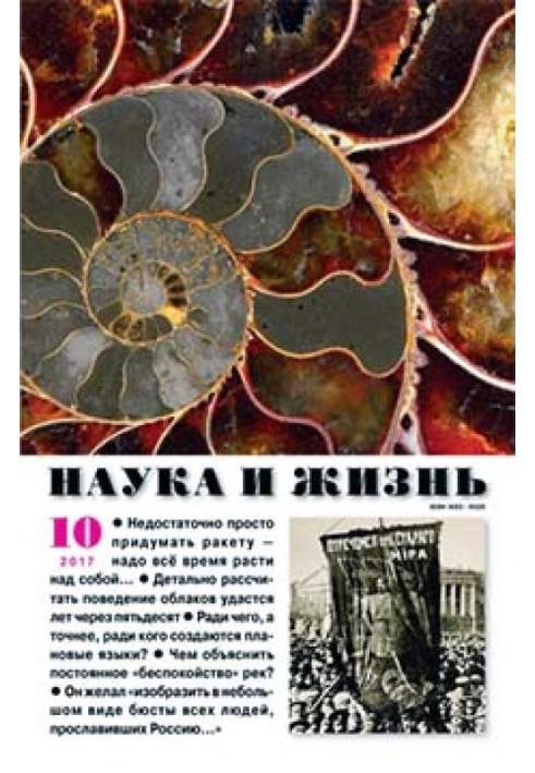 Книга Элфи