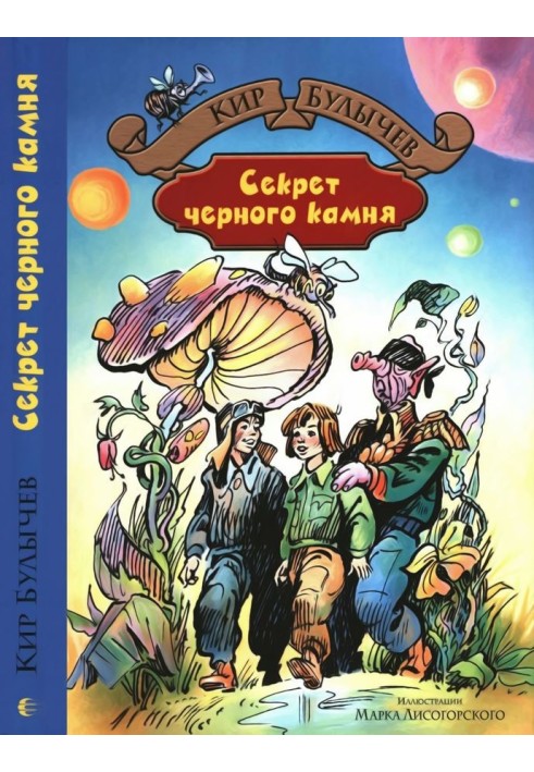 Book The secret of the black stone