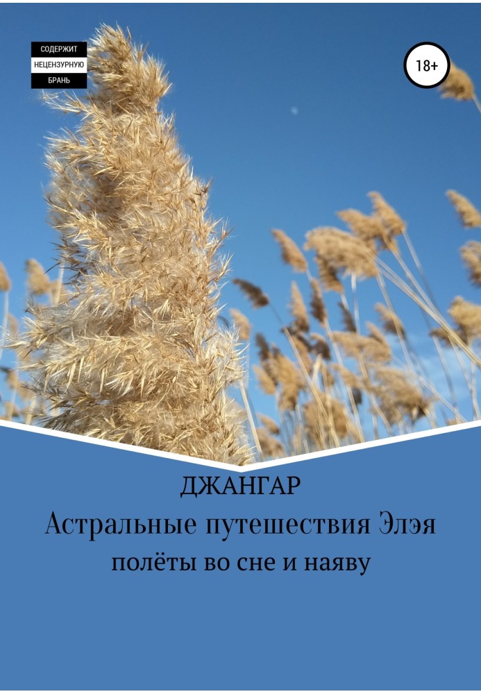 Book Astral Travels of Elay