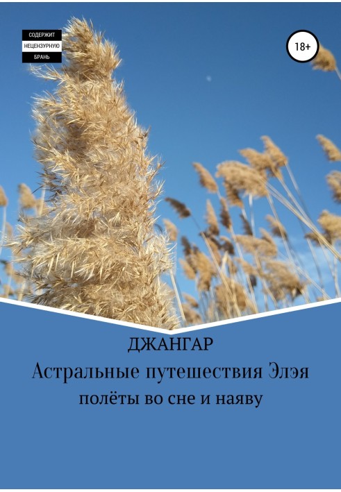 Book Astral Travels of Elay