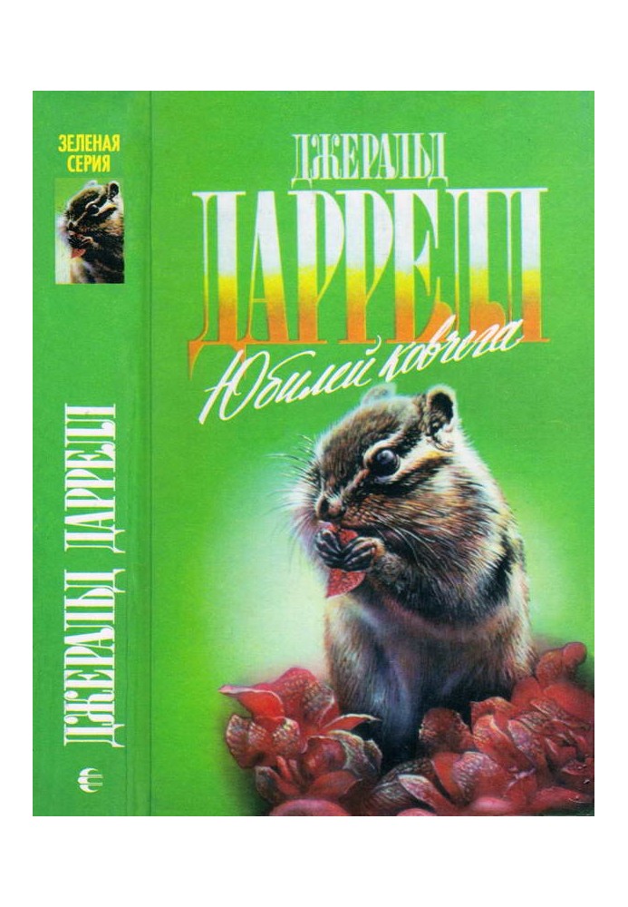 Книга Ай-ай и я. Юбилей ковчега (худ. И. Шипулин)