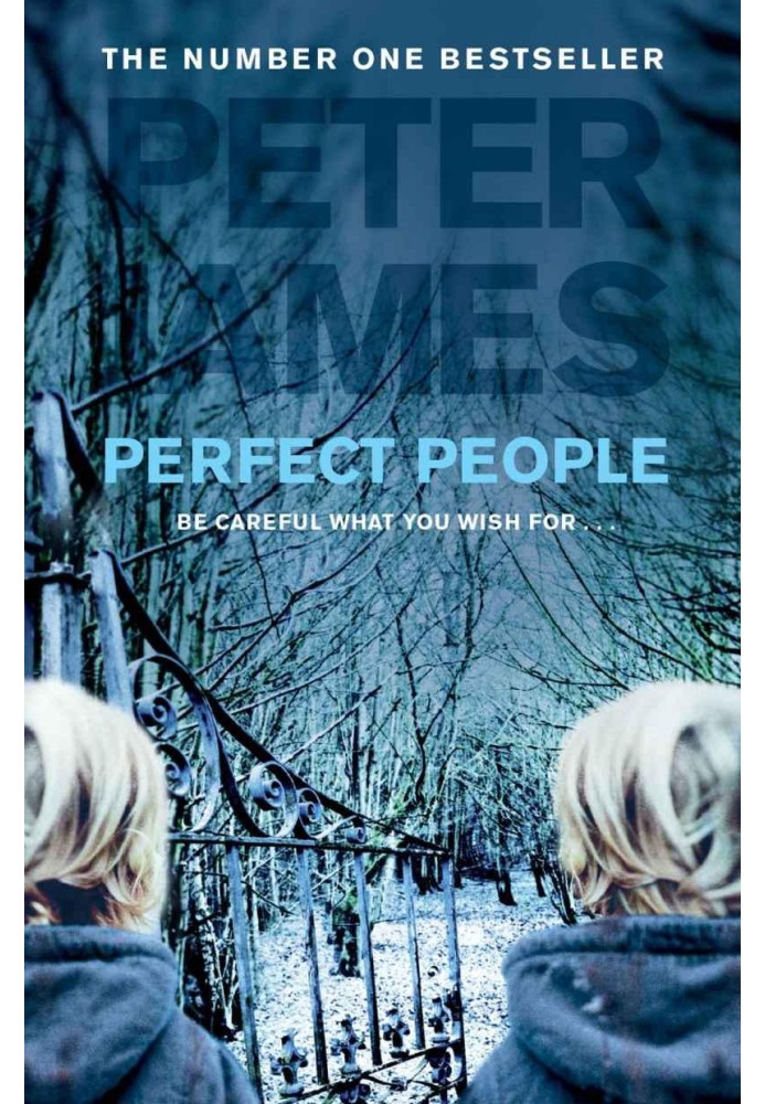 Book Perfect People