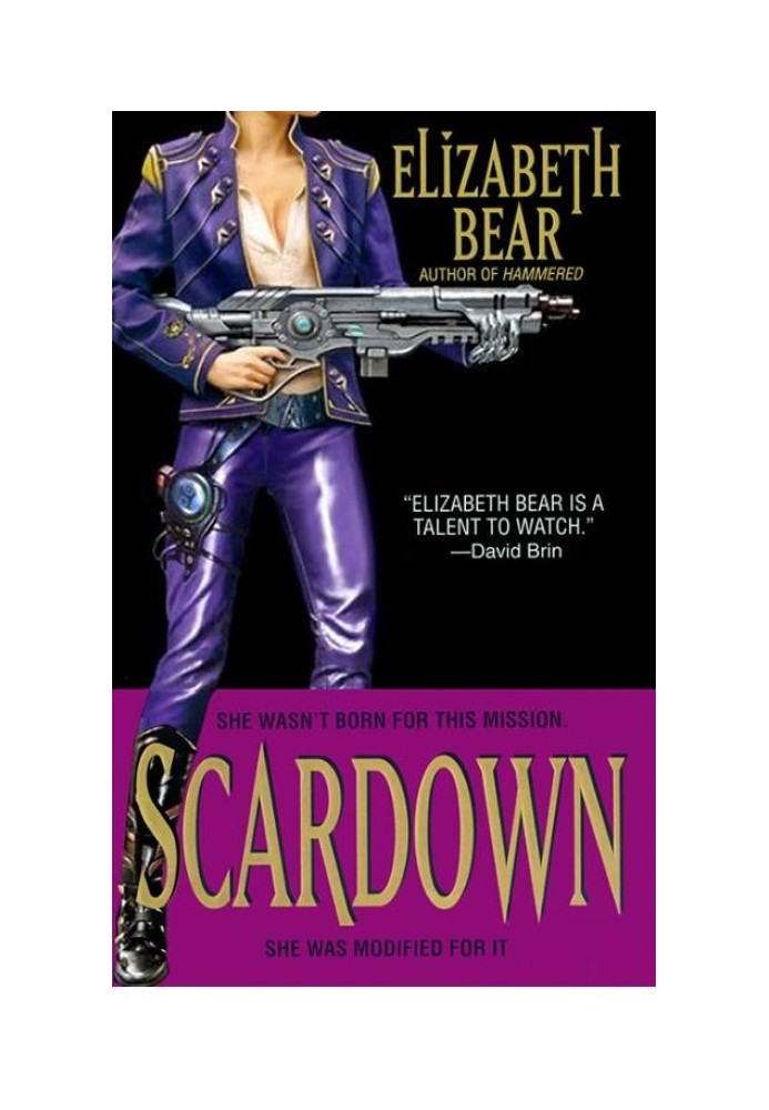 Book Scardown