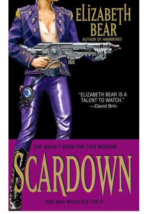 Book Scardown