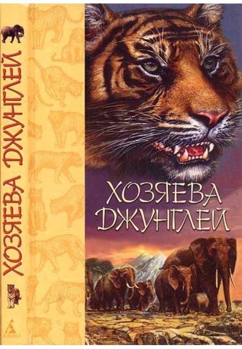 Book Masters of the jungle. Stories about tigers and elephants