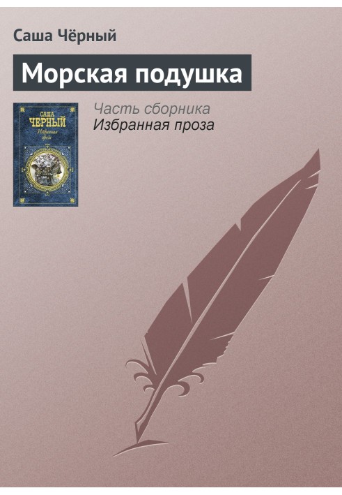 Book sea pillow
