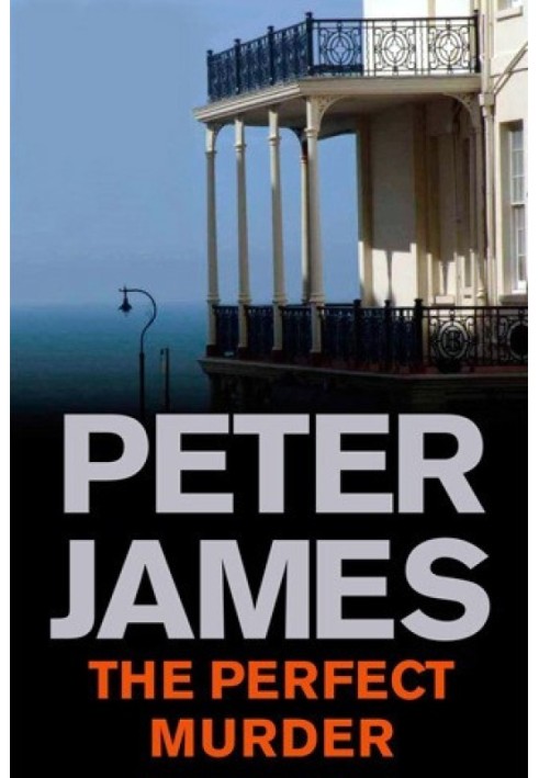 Book The Perfect Murder