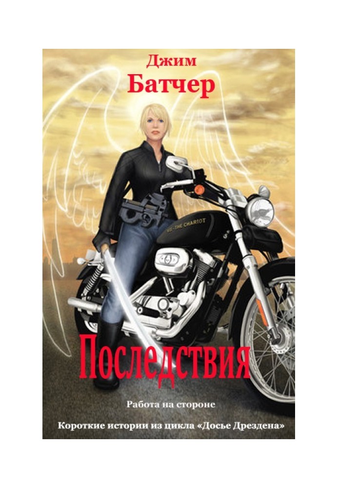 Книга Последствия (12.2)