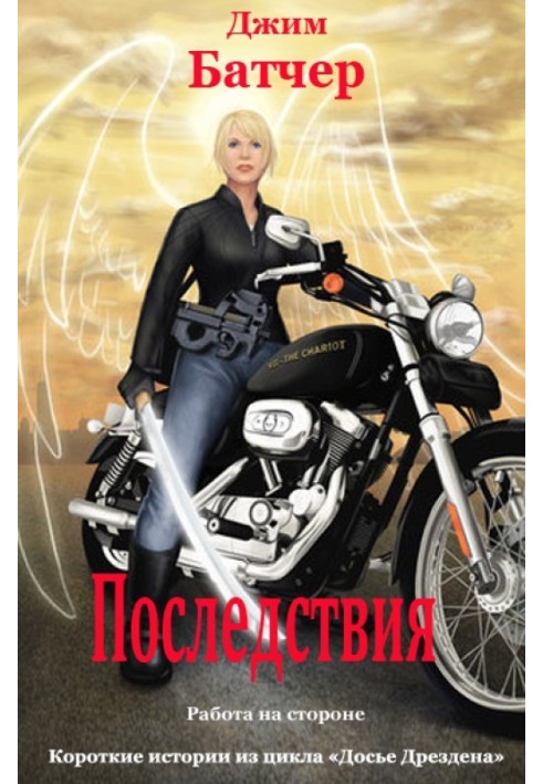 Книга Последствия (12.2)