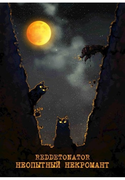 Книга Неопытный некромант