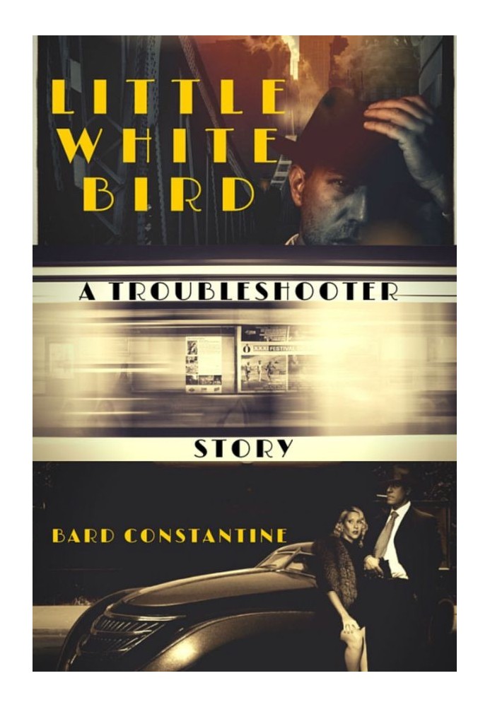 Book Little White Bird