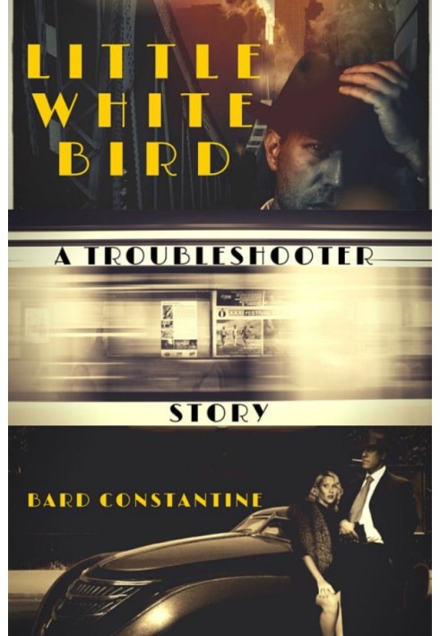 Book Little White Bird