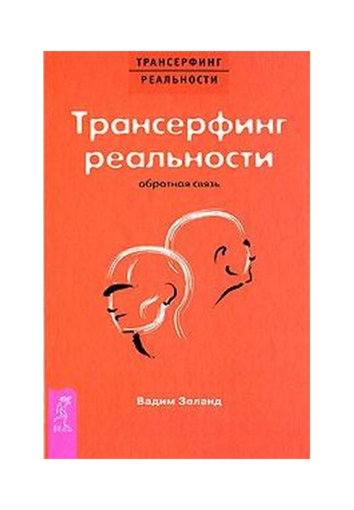 Book Reality Transurfing: Feedback