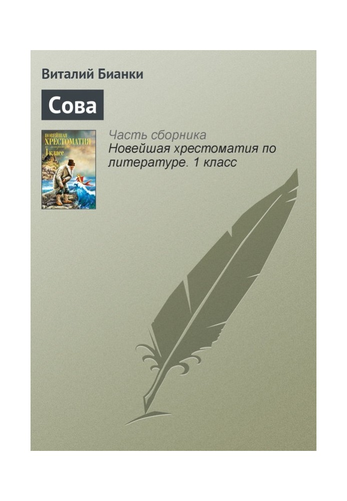 Book Owl