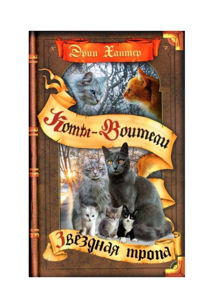 Книга Зоряна стежка