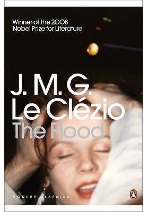 Book The Flood