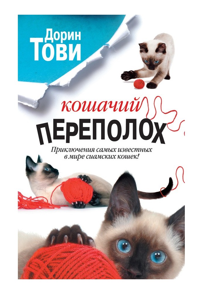 Book Cat commotion
