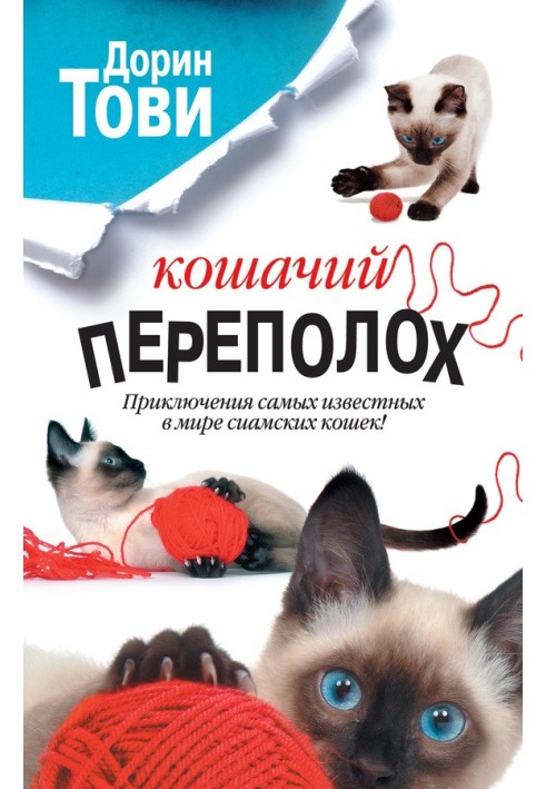Book Cat commotion