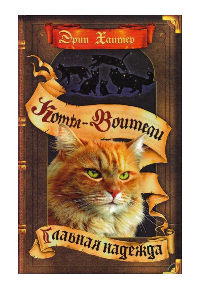 Книга Головна надія