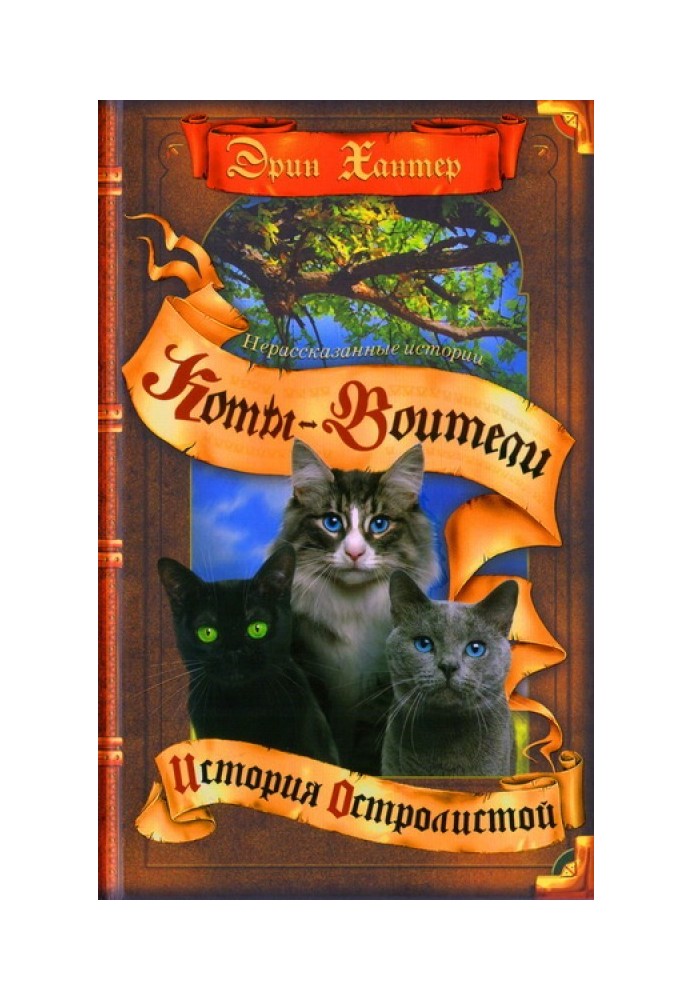 Книга Історія Остролистої. Знак Невидимої Зірки. Подорож Хмара