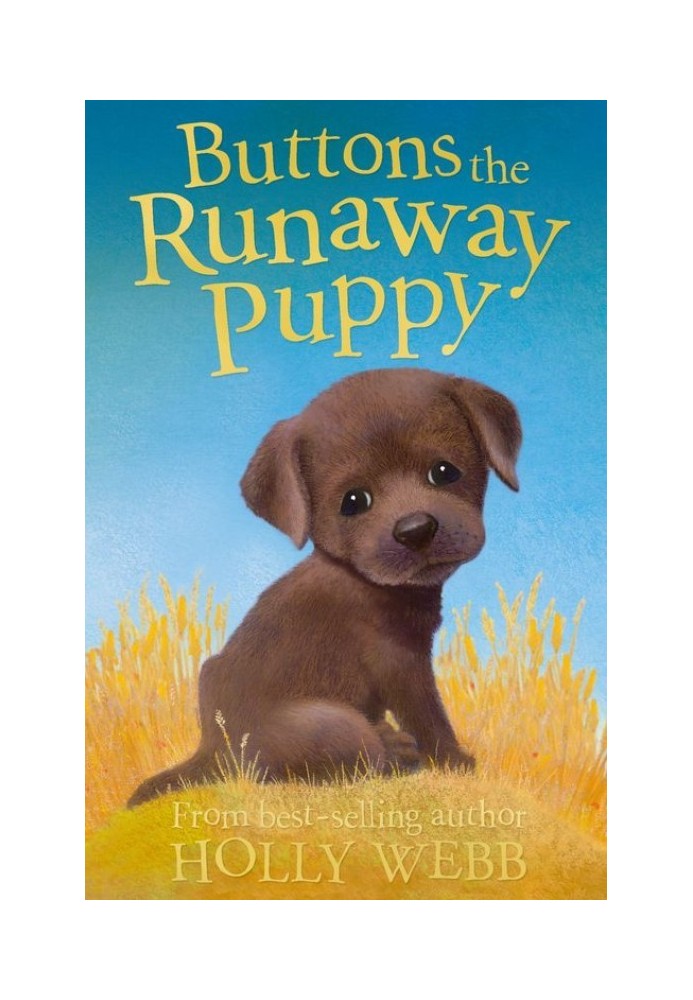 Book Buttons the Runaway Puppy