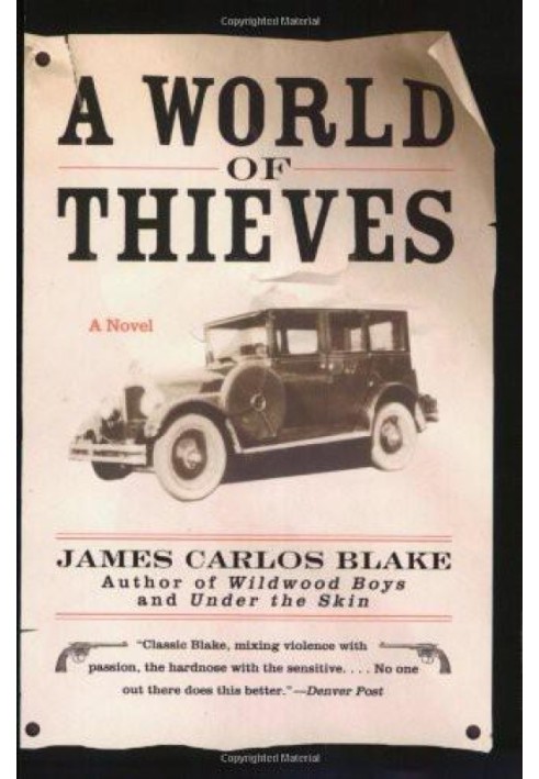 Book A World of Thieves