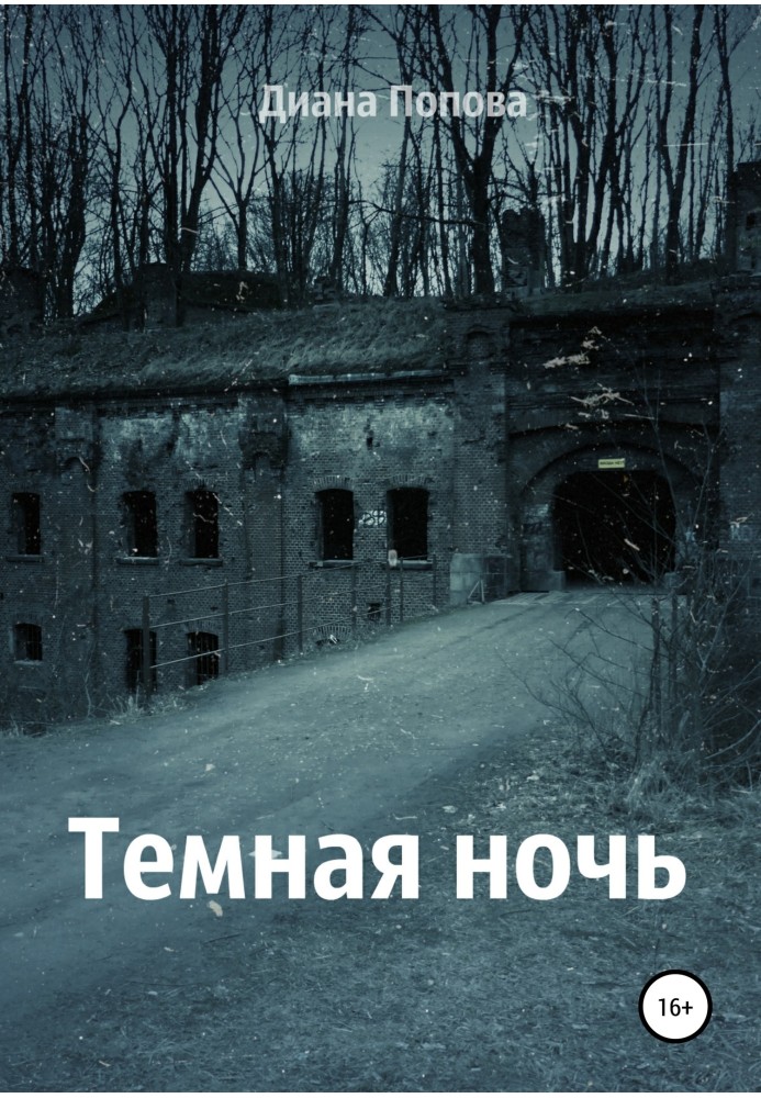 Книга Тёмная ночь