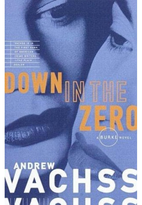 Book Down in the Zero