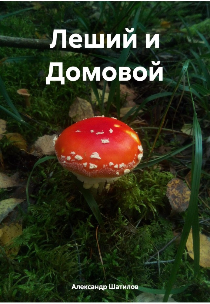 Книга Лісовик і Домовик
