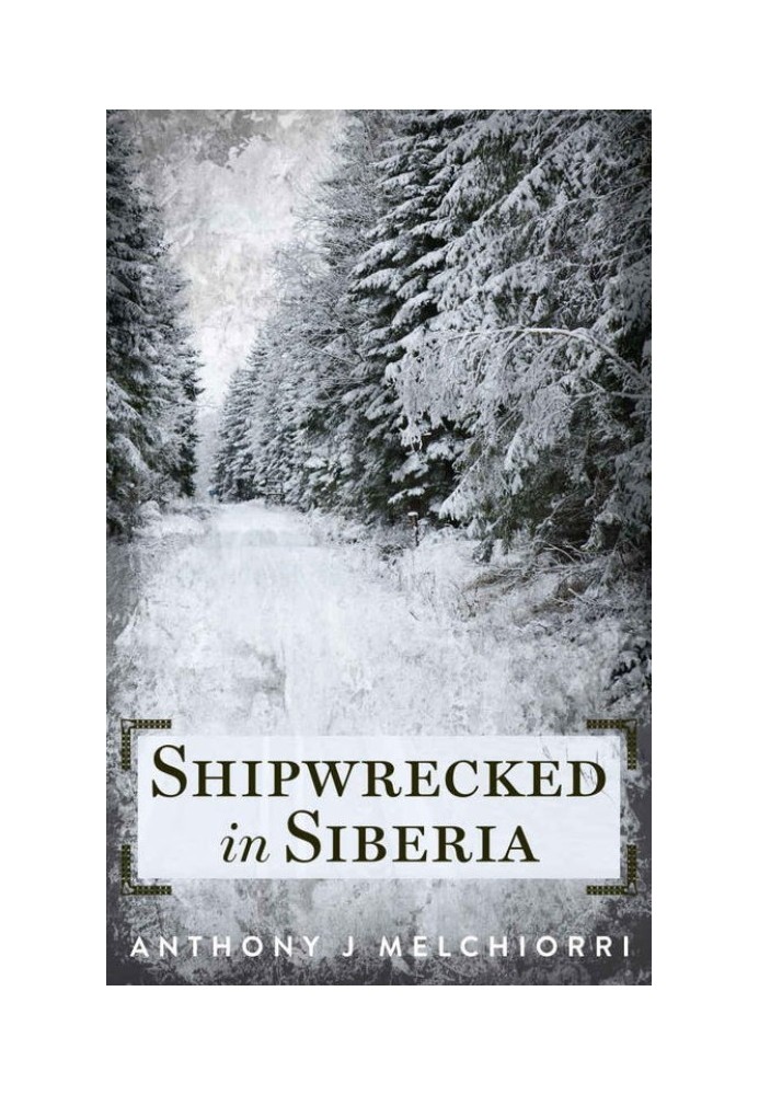 Book Shipwrecked in Siberia