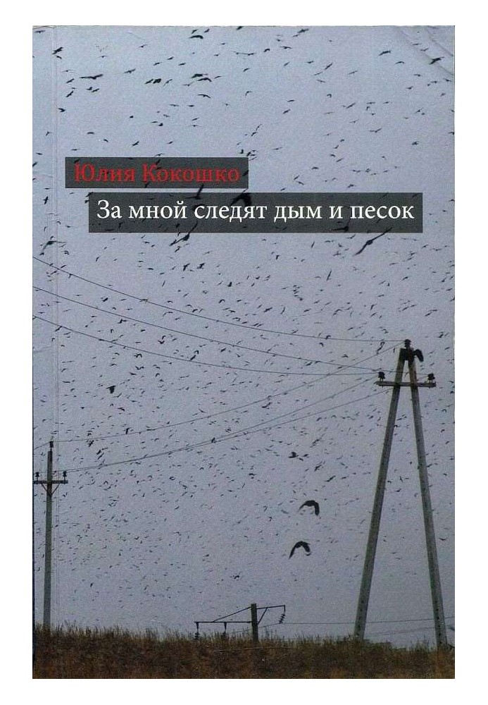 Книга За мною стежать дим та пісок