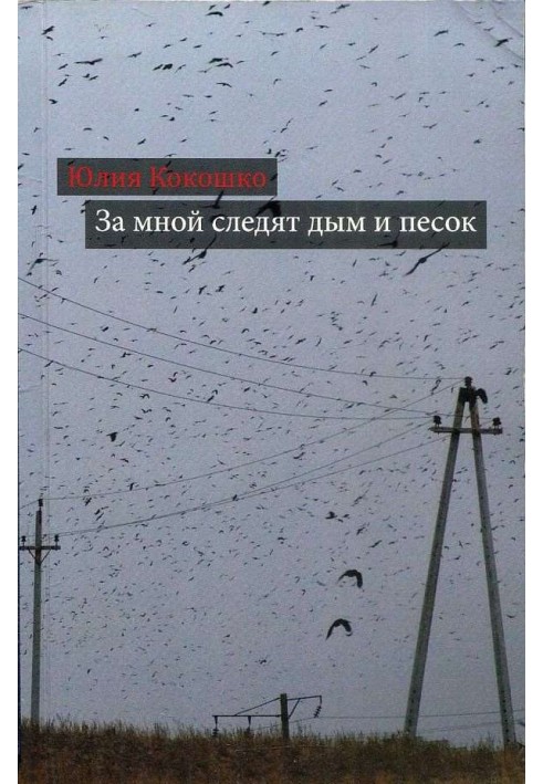 Книга За мною стежать дим та пісок
