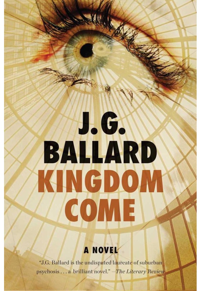 Книга Kingdom Come: роман