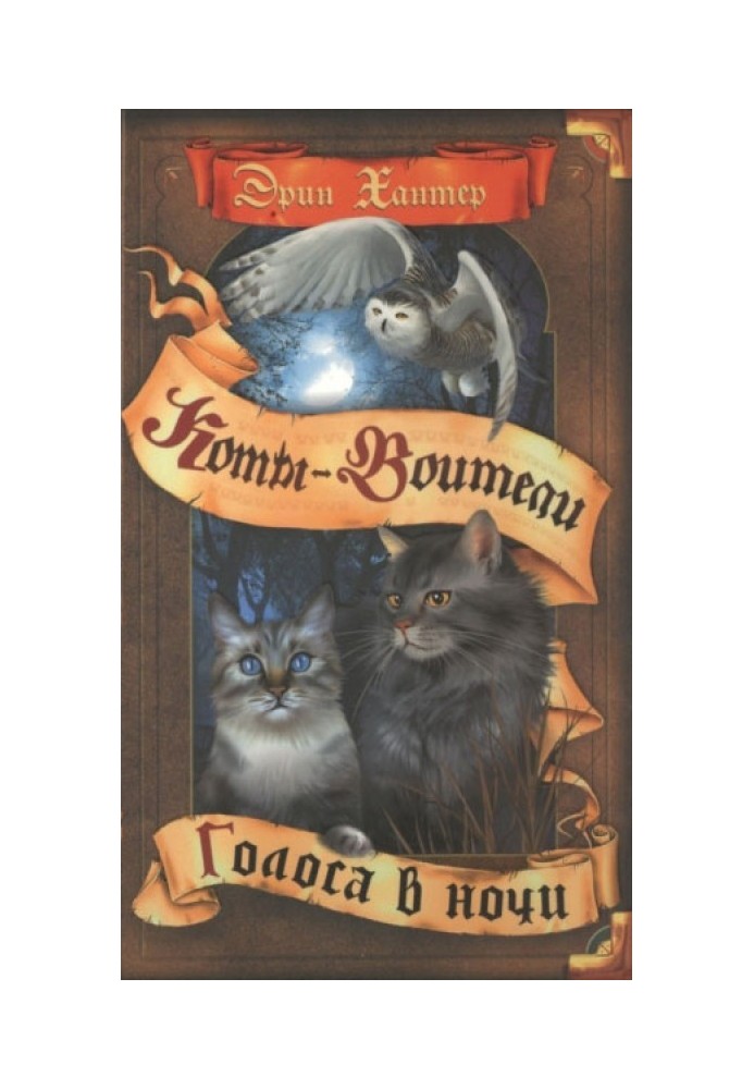 Книга Голоси вночі