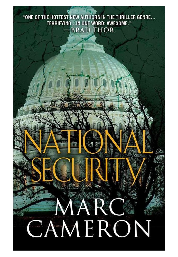 Book National Security