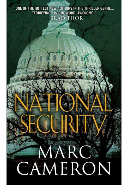 Book National Security
